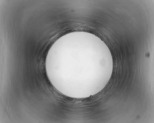 X0000091080228200709041247