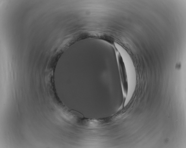 X0000091080229200709041247