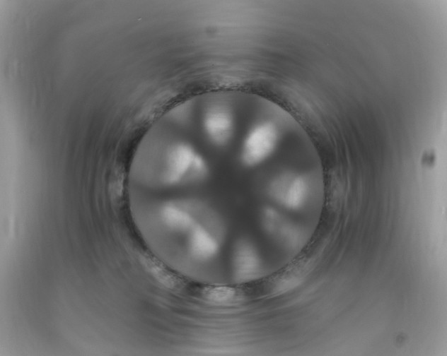 X0000091080230200709041247