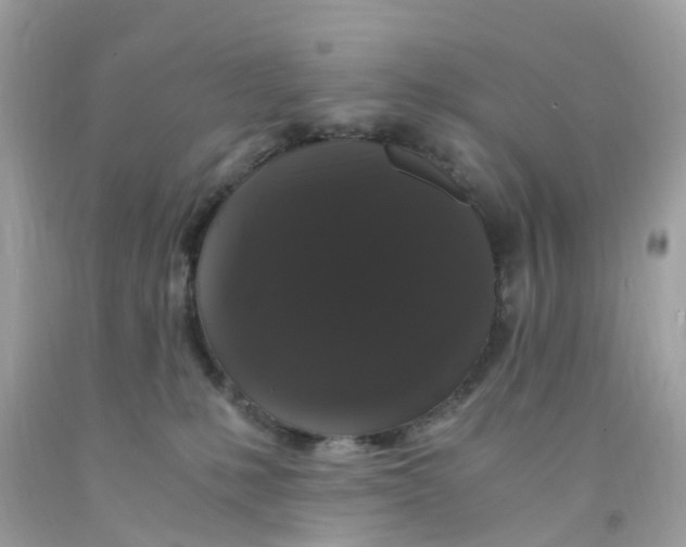 X0000091080231200709041247