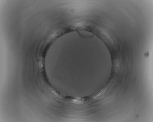 X0000091080232200709041247