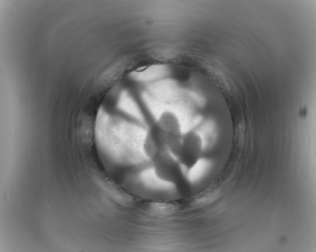 X0000091080234200709041247