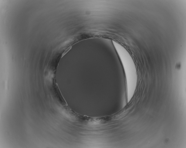 X0000091080235200709041247