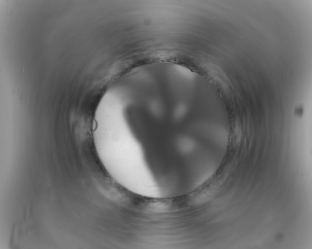 X0000091080236200709041247