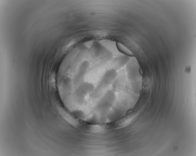 X0000091080238200709041247