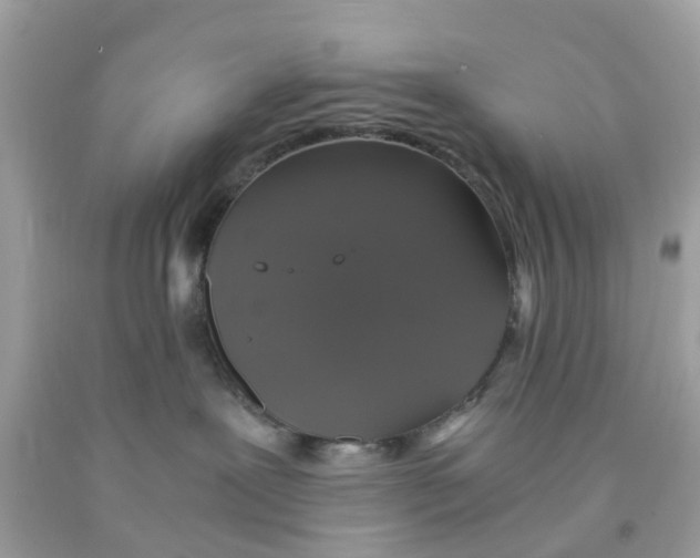 X0000091080239200709041247