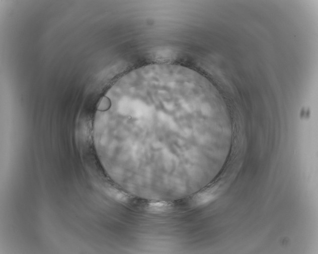 X0000091080240200709041247