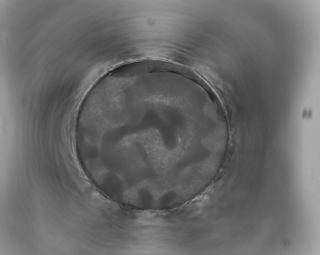 X0000091080241200709041247