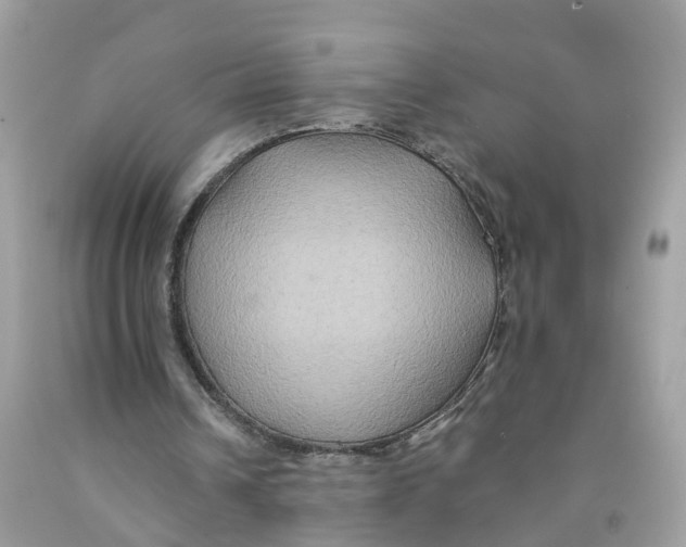 X0000091080242200709041247