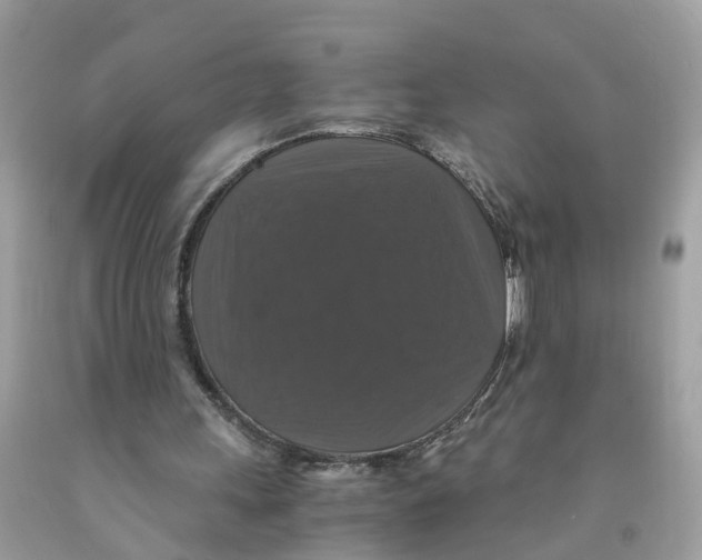 X0000091080243200709041247