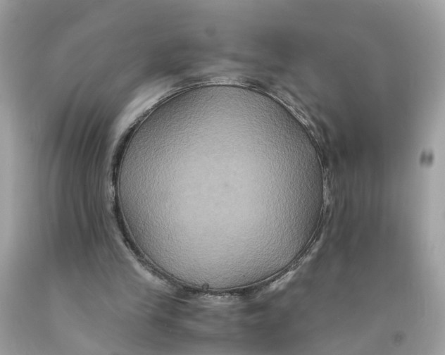 X0000091080245200709041247