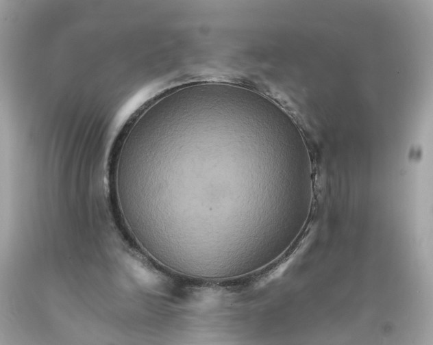 X0000091080246200709041247