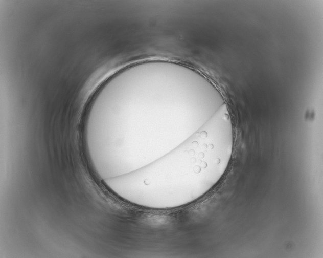 X0000091080247200709041247