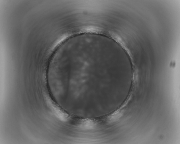 X0000091080249200709041247