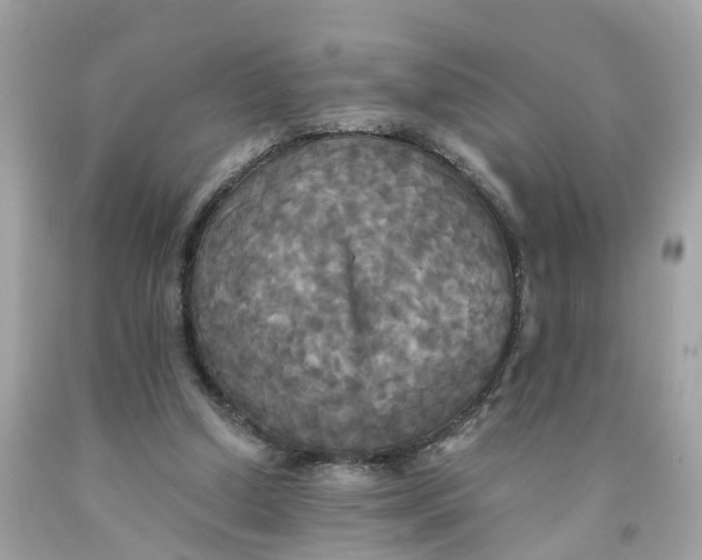 X0000091080250200709041247