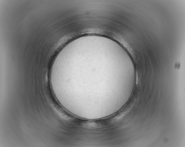 X0000091080253200709041247