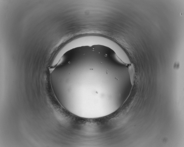 X0000091080256200709041247