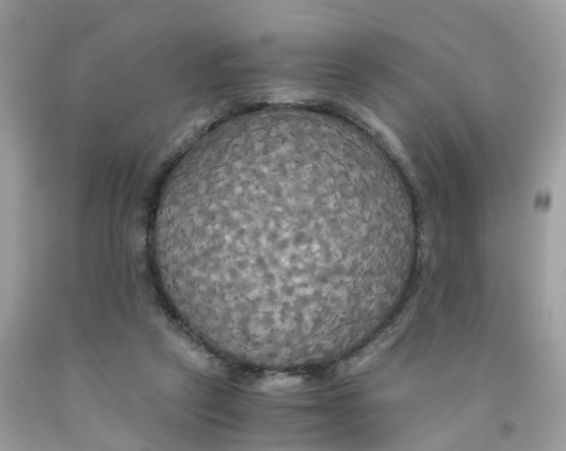 X0000091080257200709041247