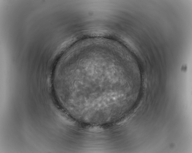 X0000091080258200709041247