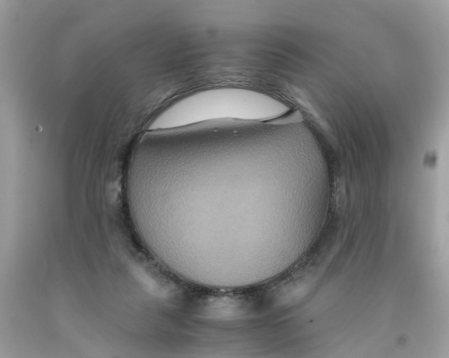 X0000091080259200709041247