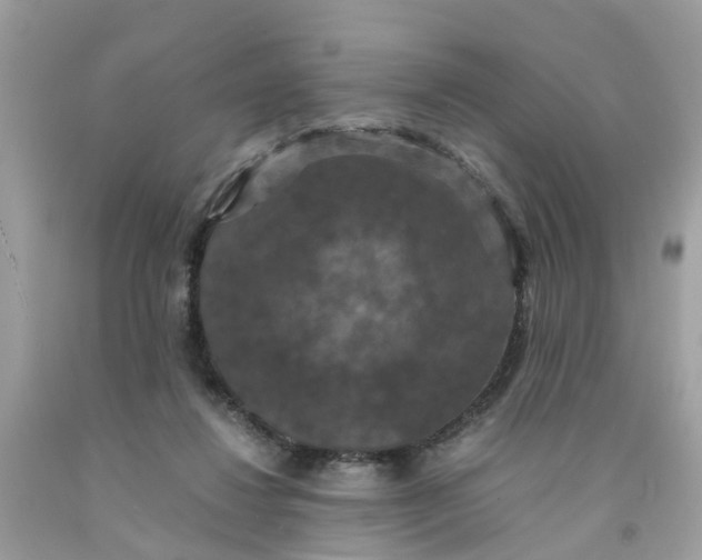 X0000091080260200709041247