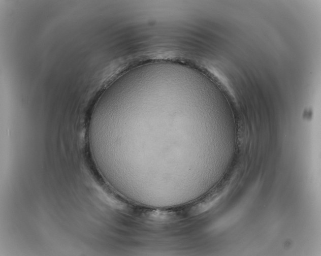 X0000091080261200709041247