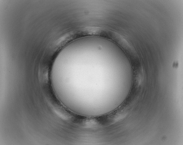 X0000091080262200709041247