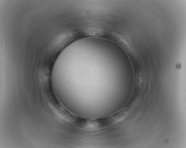 X0000091080263200709041247