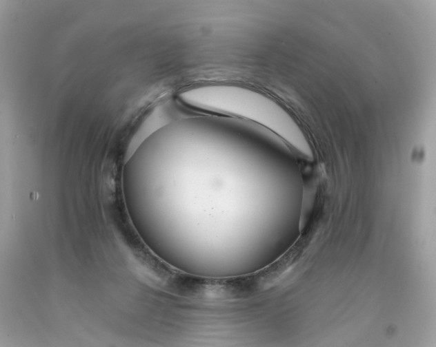 X0000091080264200709041247