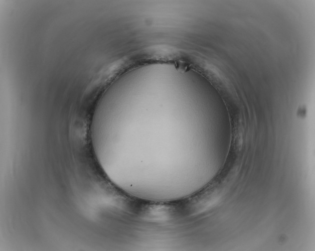 X0000091080268200709041247