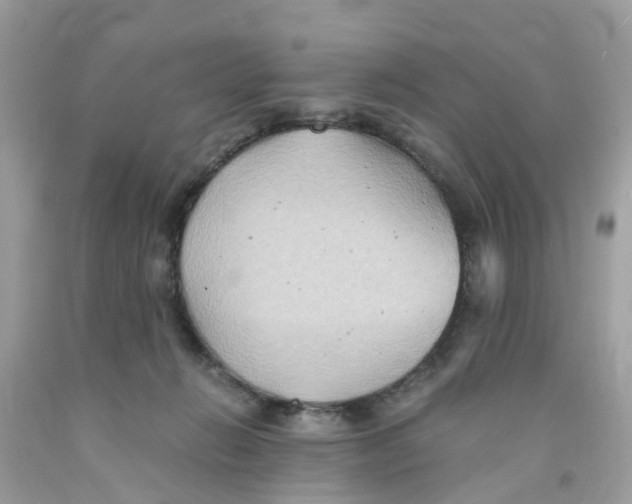 X0000091080270200709041247