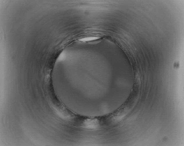 X0000091080271200709041247