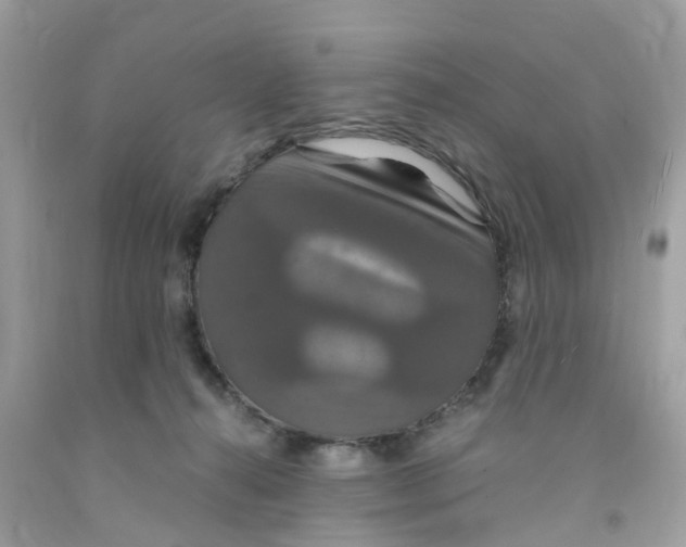 X0000091080272200709041247