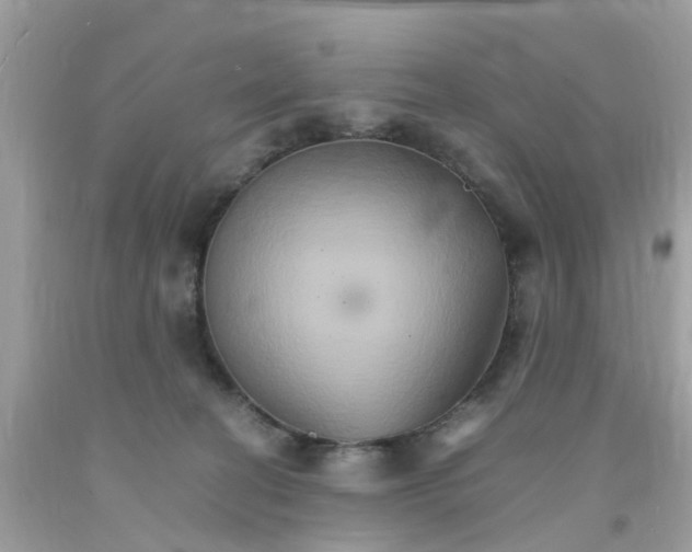 X0000091080274200709041247