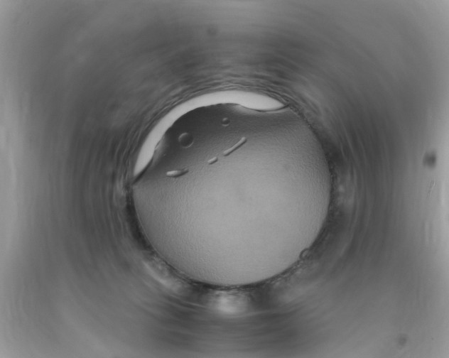 X0000091080275200709041247