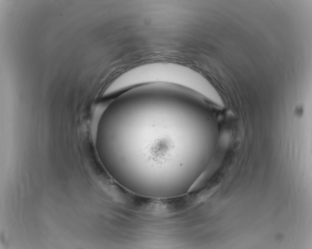 X0000091080276200709041247