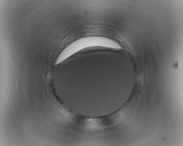 X0000091080277200709041247