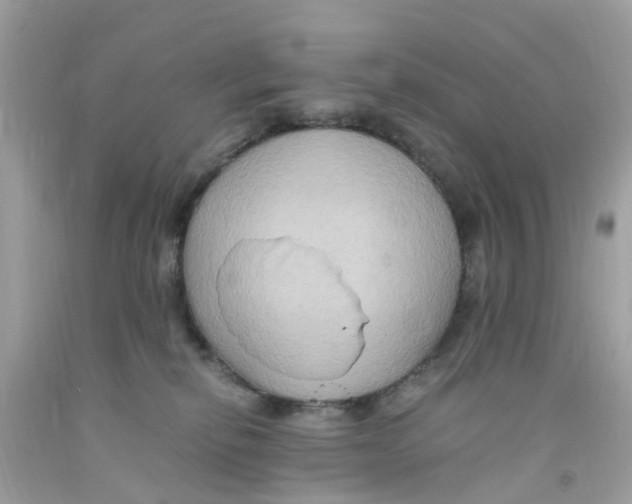 X0000091080278200709041247