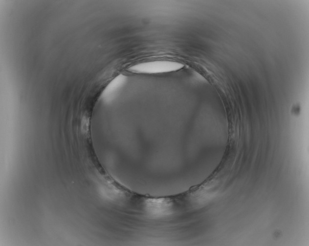 X0000091080281200709041247