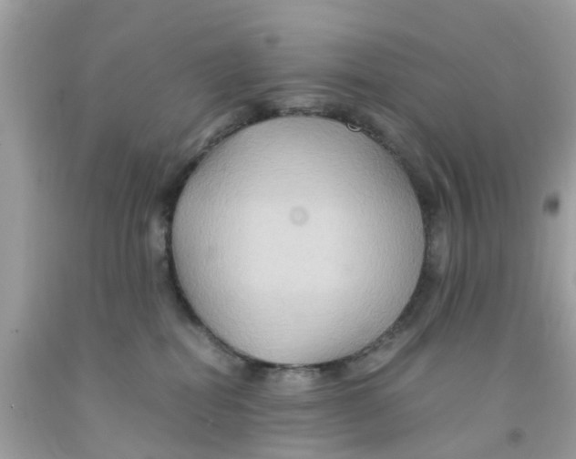 X0000091080282200709041247