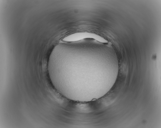 X0000091080283200709041247