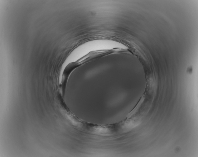 X0000091080284200709041247