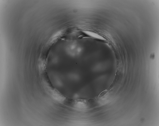 X0000091080285200709041247