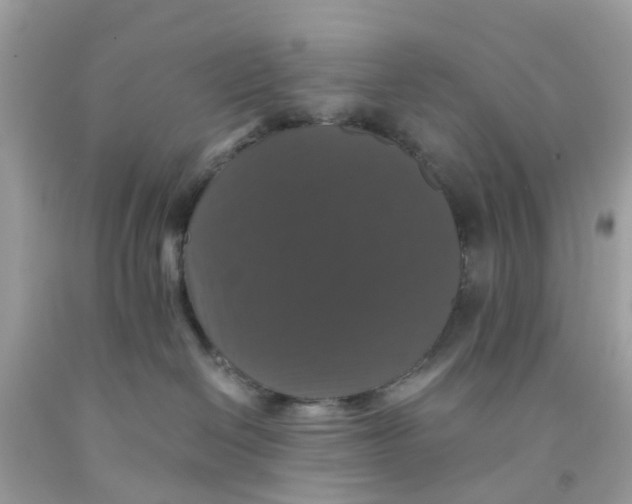 X0000091080286200709041247