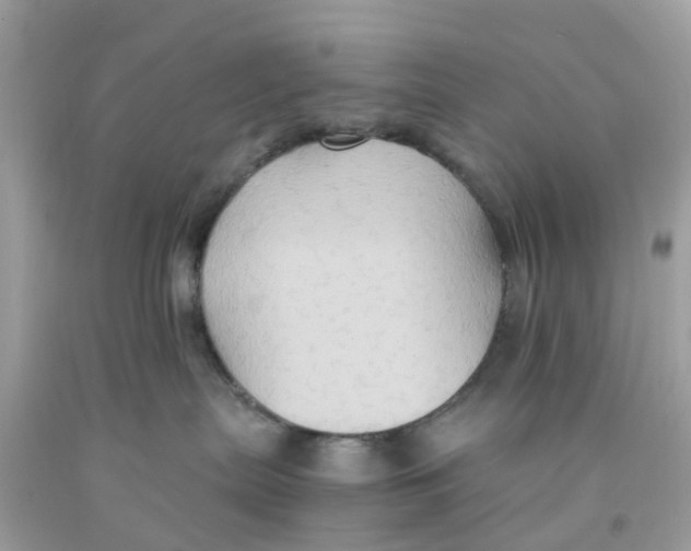 X0000091080287200709041247