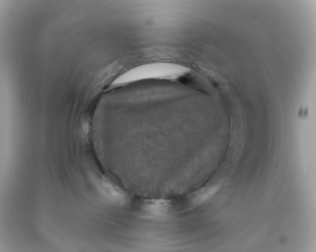 X0000091080288200709041247