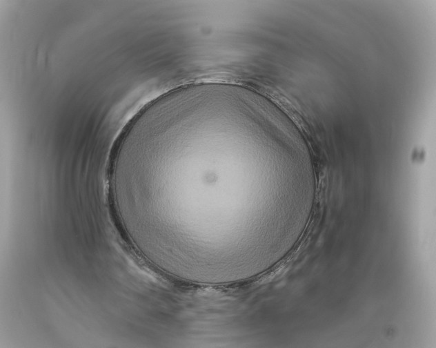 X0000091080290200709041247