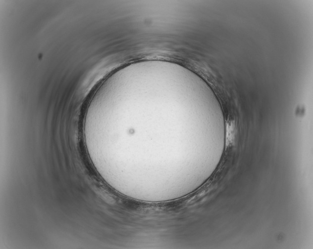 X0000091080291200709041247