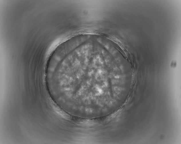 X0000091080293200709041247