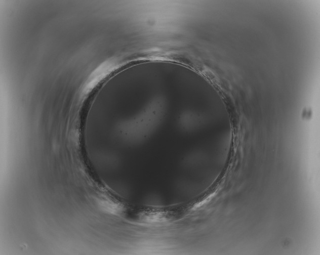 X0000091080295200709041247